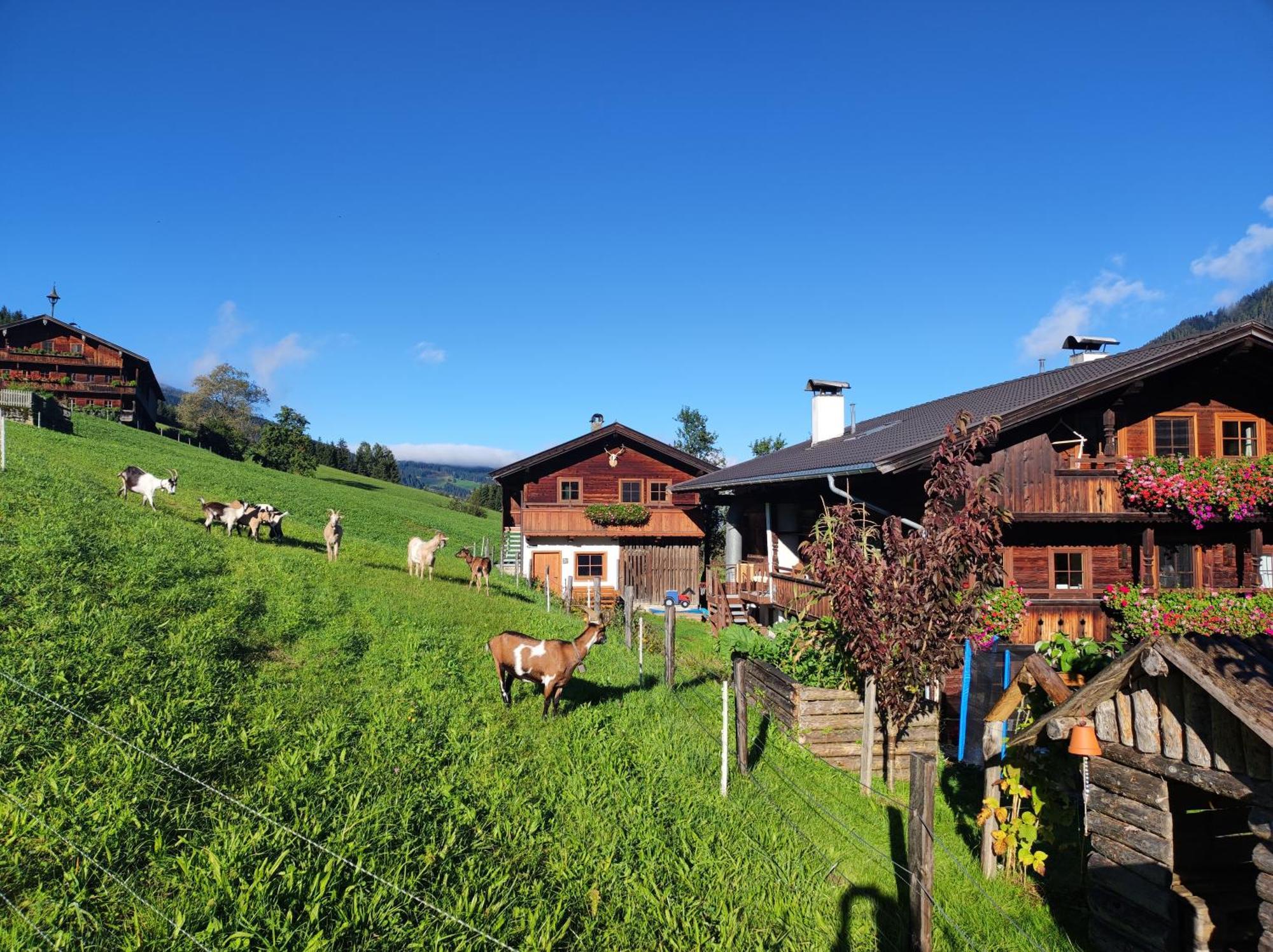 Ferienwohnungen Schneiderhaeusl Alpbach Kültér fotó